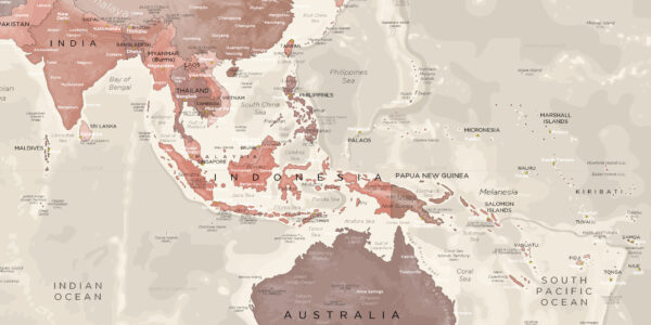 Large World Map